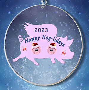 pig ornament for 2