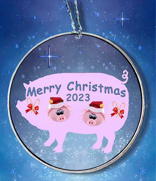 Pig Personalized Ornament for 2