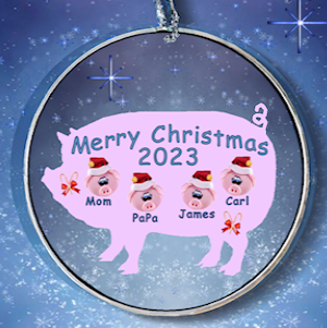 Pig Personalized Ornament for 2